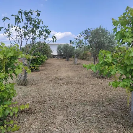 Akrokorinthos View House بيت للعطل