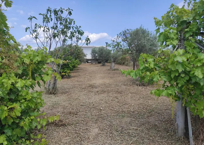 Akrokorinthos View - 3 Bedroom Σπίτι διακοπών